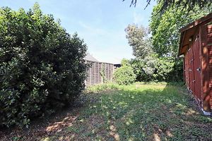 Rear Garden- click for photo gallery